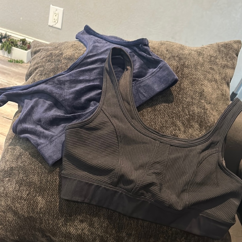 Blue large, black lab hoy from target medium